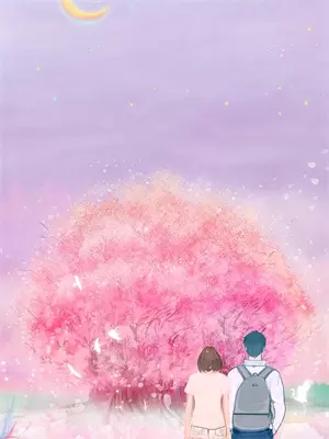 潮落时见星辰后续