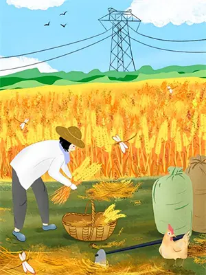 设命题