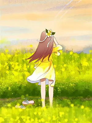 犹为离人照落花简介