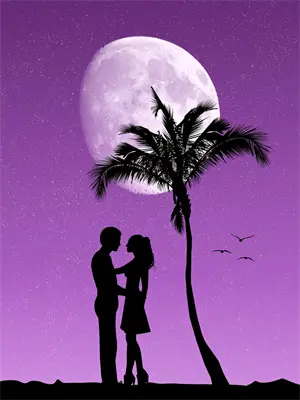 首辅夜夜低哄：恶女她以下犯上萧沉砚沈清梧最新好看小说_最新完本小说首辅夜夜低哄：恶女她以下犯上萧沉砚沈清梧