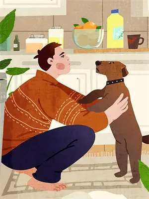 魔道之镜观未来完整阅读